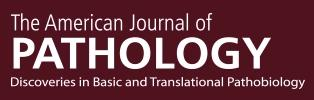 American Journal of Pathology